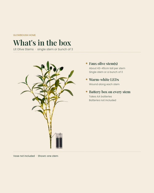 What's in the box: lit faux olive stem about 43-45cm tall with warm-white LEDs and AA battery box; batteries and vase not included